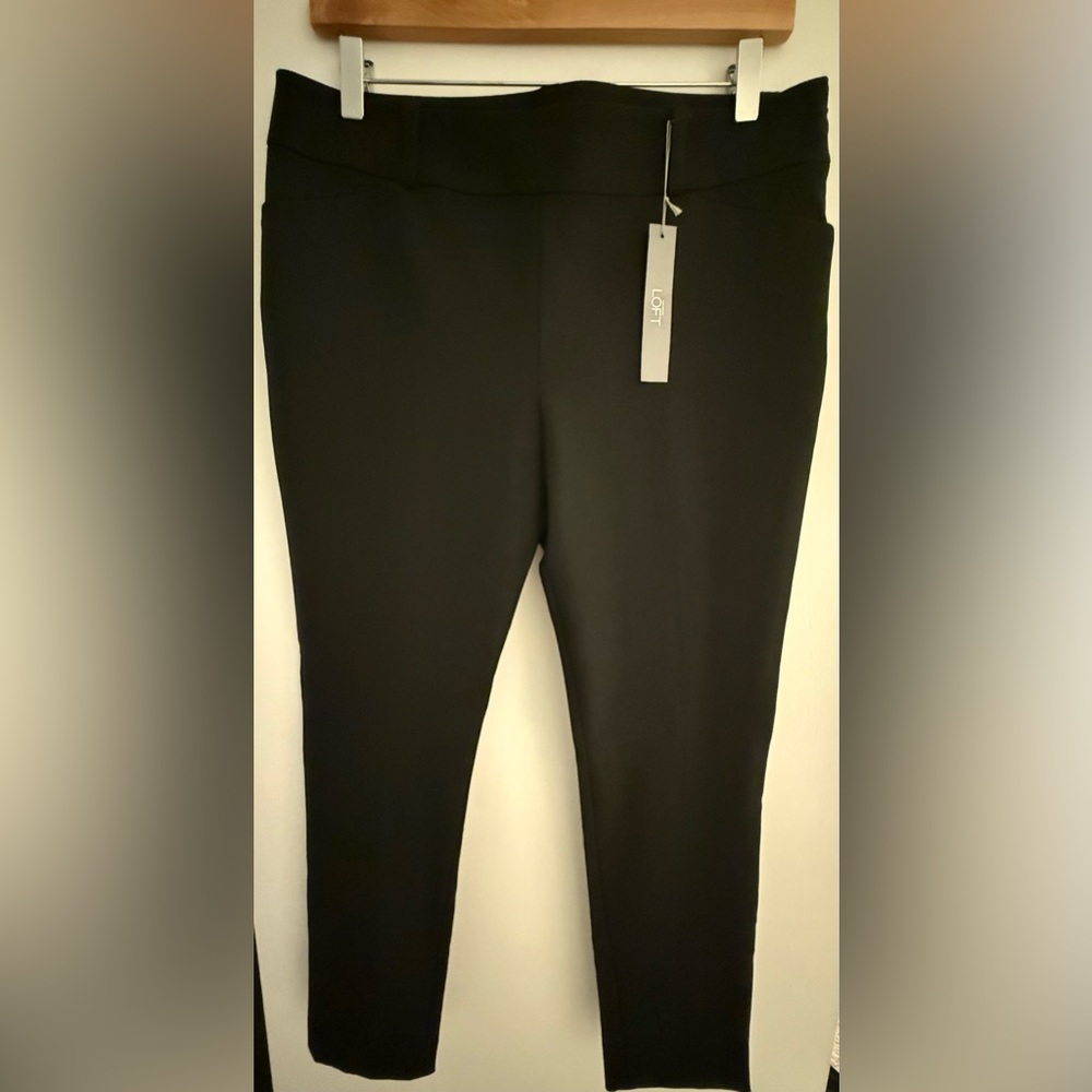 NWT Ann Taylor Loft Marisa Skinny Pant Women’s Size 10P